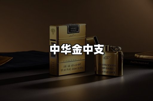 中华金中支